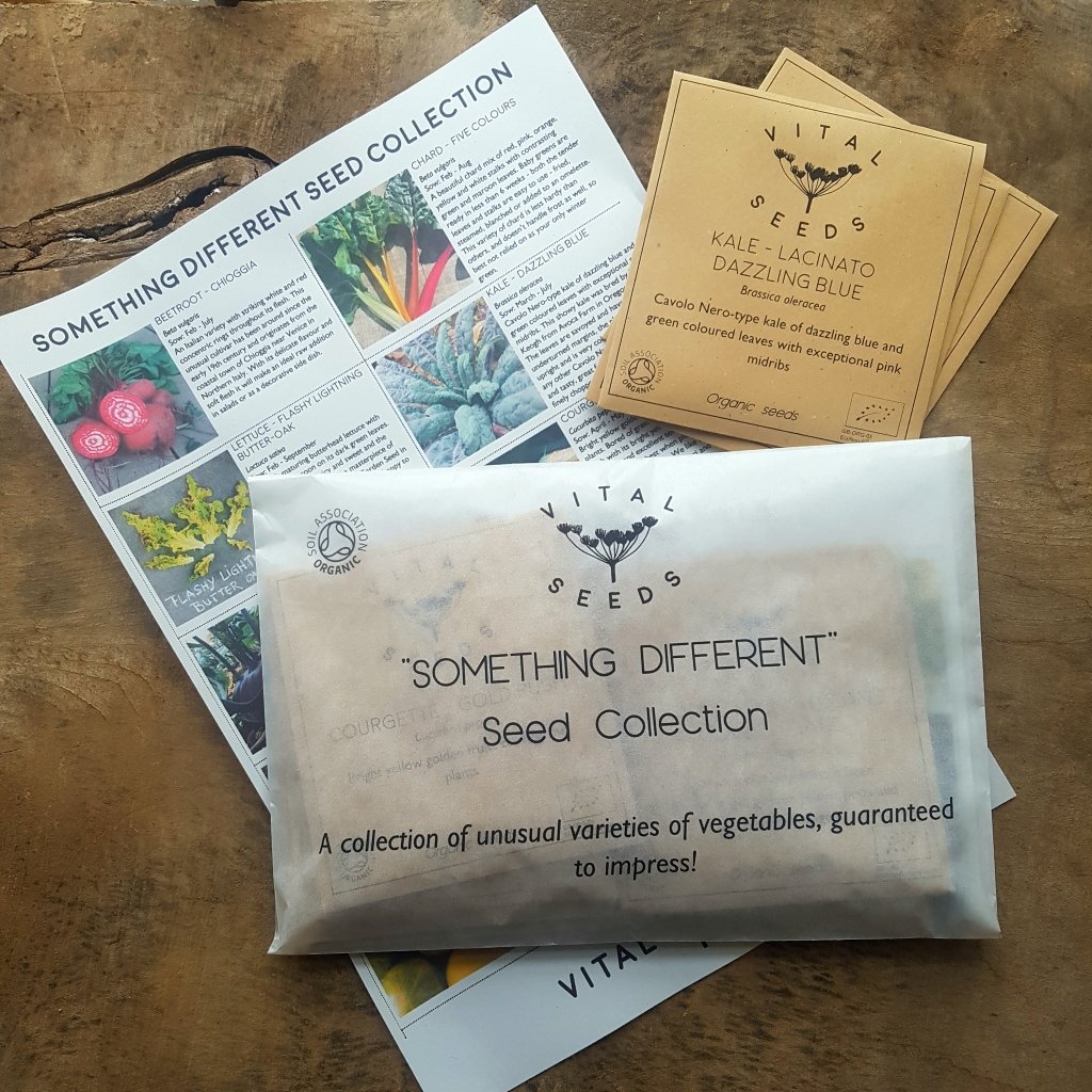 Your ethical Christmas present dilemmas solved! Great gifts available ...