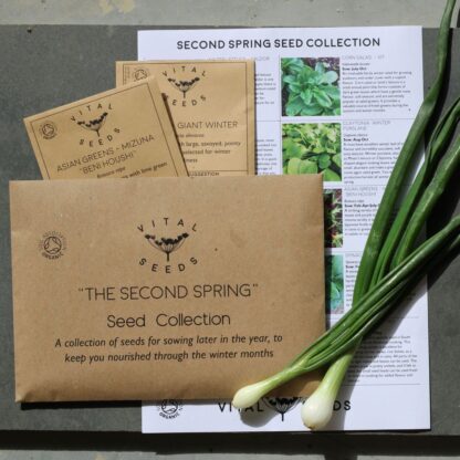 Winter Growing / "Second Spring" seed collection