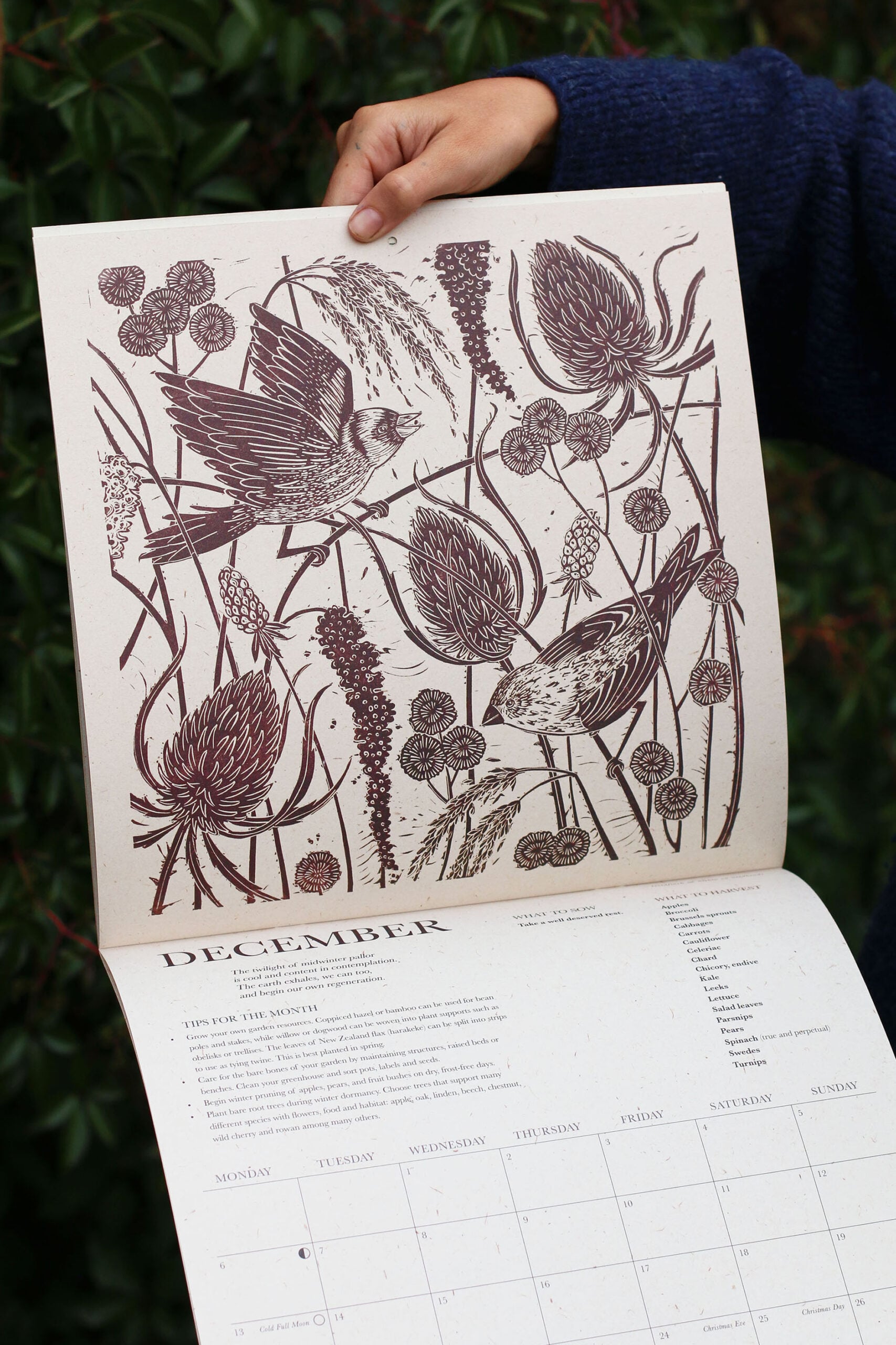 Growing Through the Seasons 2027 Wall Calendar - Image 5