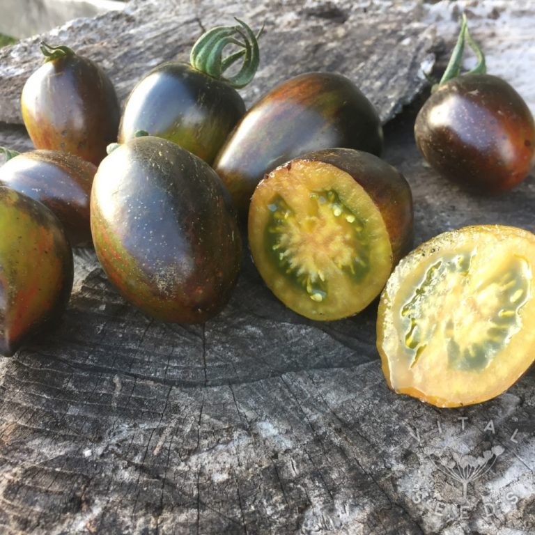 Tomato Brad's Atomic Grape Vital Seeds