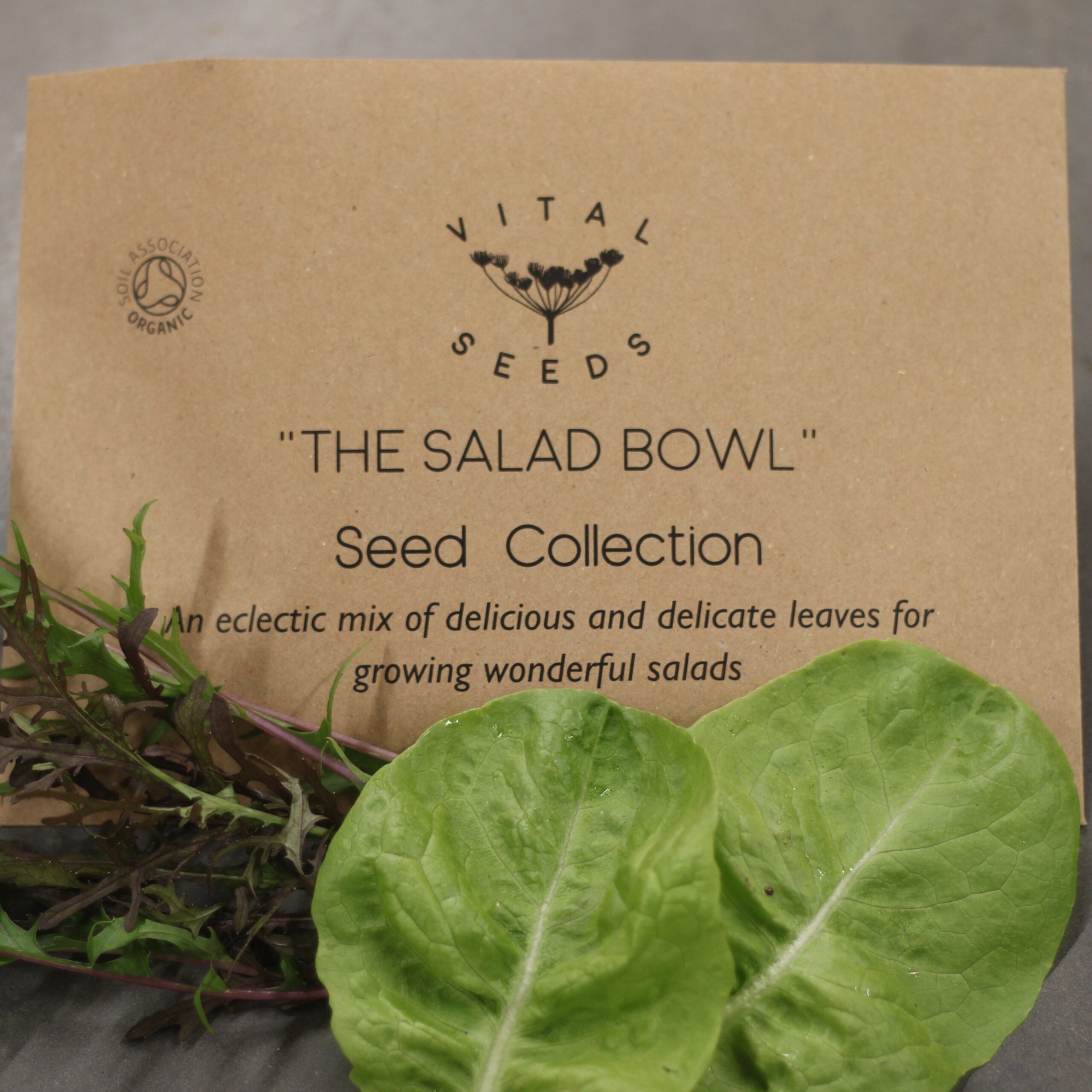"The Salad Bowl" Seed Collection Vital Seeds