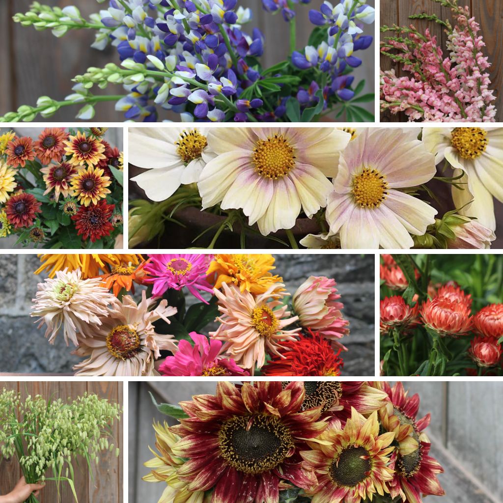 "The Cutting Garden" Seed Collection - Image 2