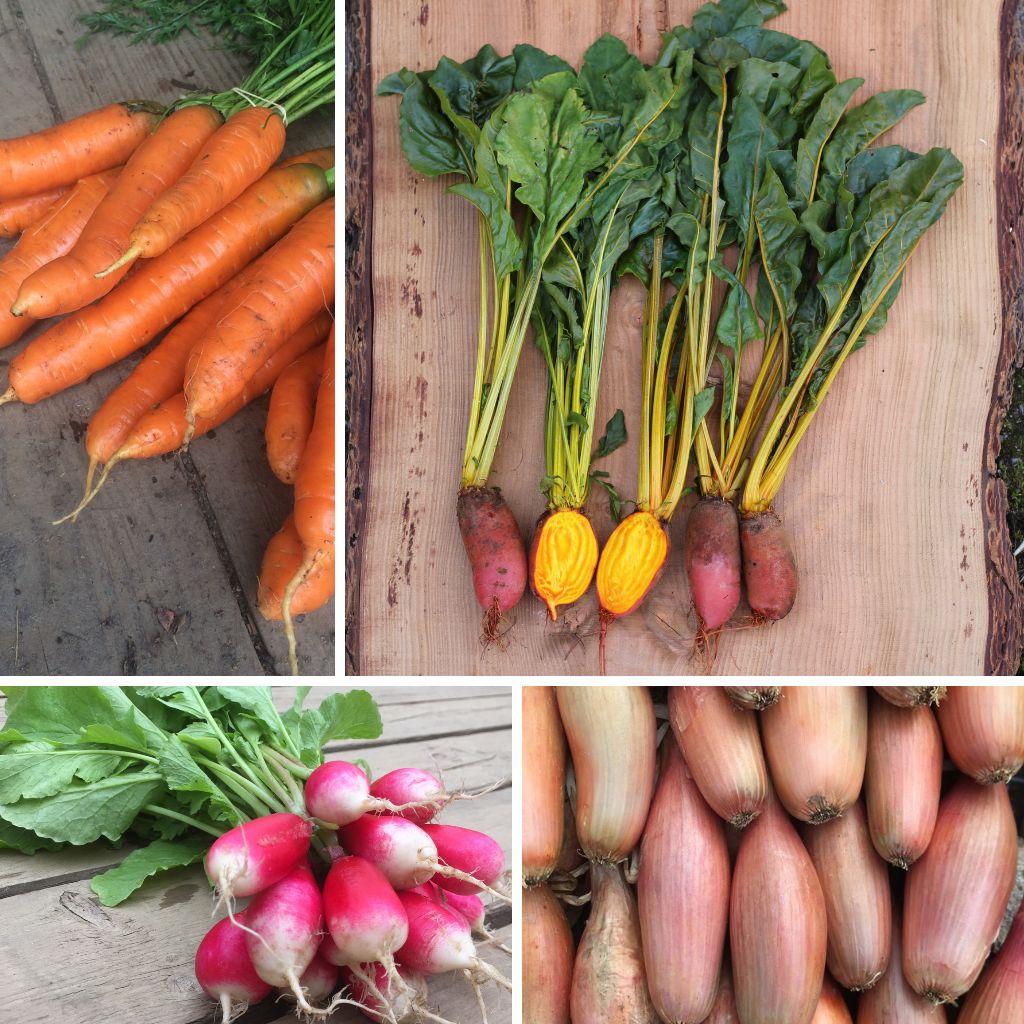 "Connect with Your Roots" Seed Collection - Image 2