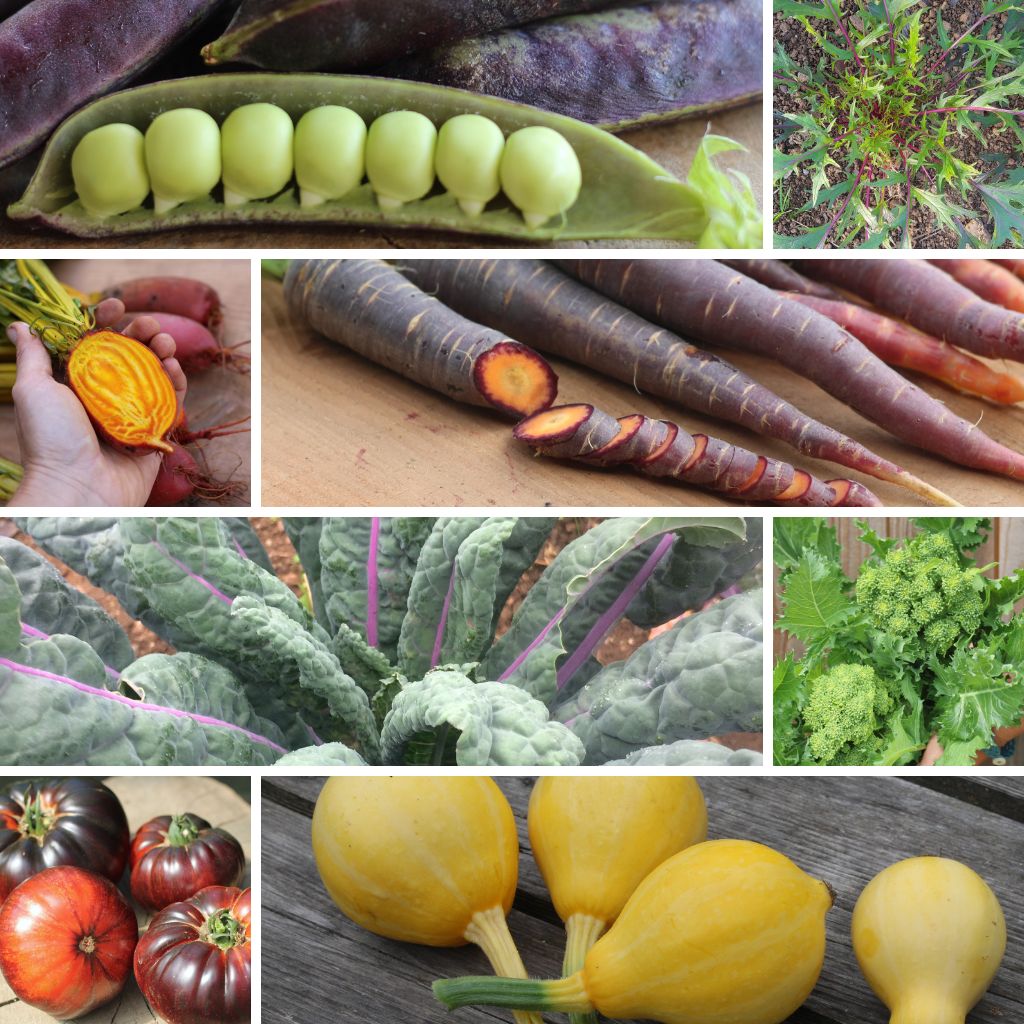 "Something Different" Seed Collection - Image 2