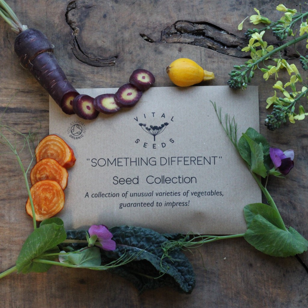 "Something Different" Seed Collection