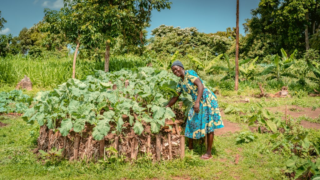 Ripple Effect Garden Twinning - Image 2